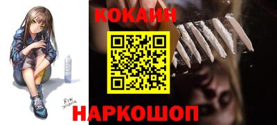 гашик Кингисепп