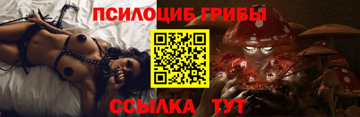Галлюциногенные грибы Psilocybine cubensis  Вход с VPN  Кингисепп 