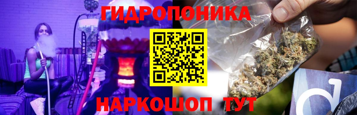 Бошки марихуана планчик Кингисепп
